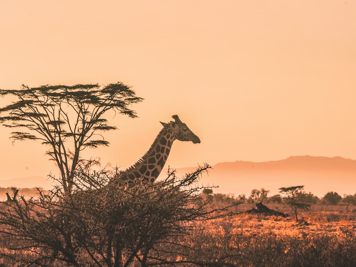 Nairobi, Kenya