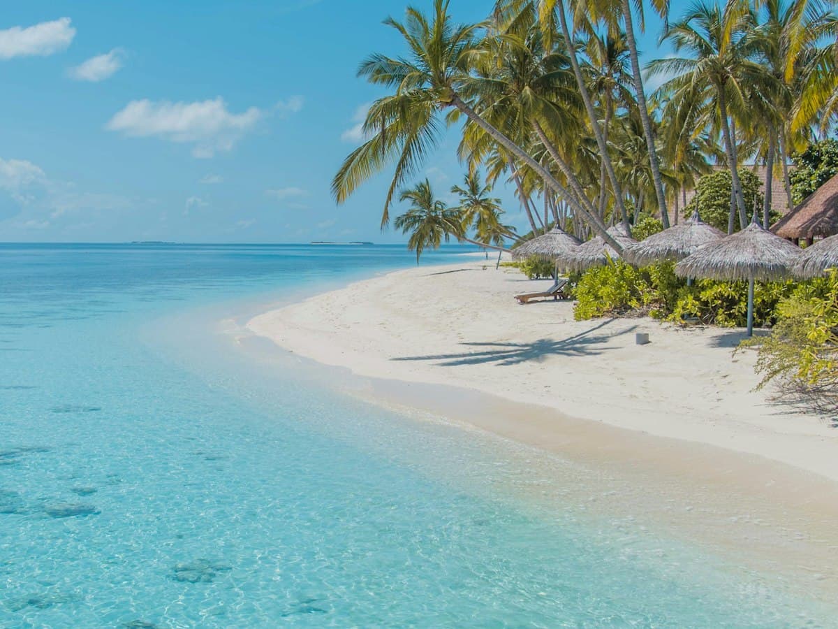 Plage de sable blanc et eaux turquoise à Zanzibar